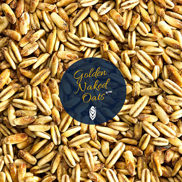 GOLDEN NAKED OATS skallös karamellmalt på havre Ölbryggning AB