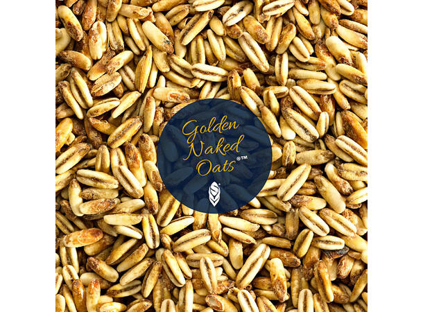 GOLDEN NAKED OATS skallös karamellmalt på havre Ölbryggning AB