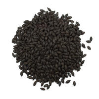 Château Black of Black 1 kg hel 650-950 EBC - Castle malting