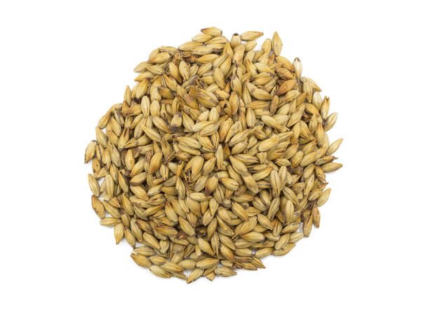 Château Cara Gold 1 kg knust