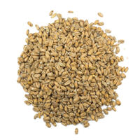 Pale Wheat 1 kg krossad 4 EBC - Weyermann