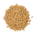Carahell Malt 25 kg hel 25 EBC - Weyermann