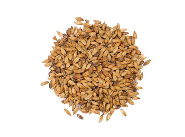 Caramunich III 1 kg hel