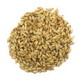 Ch&#226;teau Cara Gold 25 kg hel 120 EBC - Castle malting
