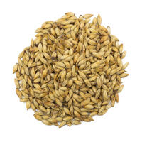 Château Cara Gold 25 kg hel 120 EBC - Castle malting