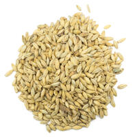 Carapils Malt 1 kg hel 4 EBC - Weyermann