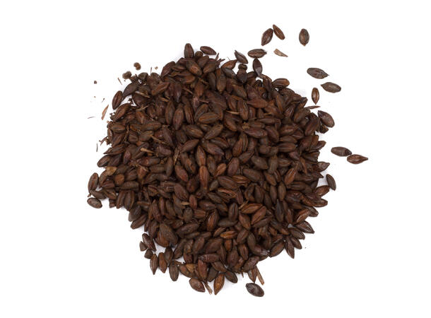 Carafa Special I Malt