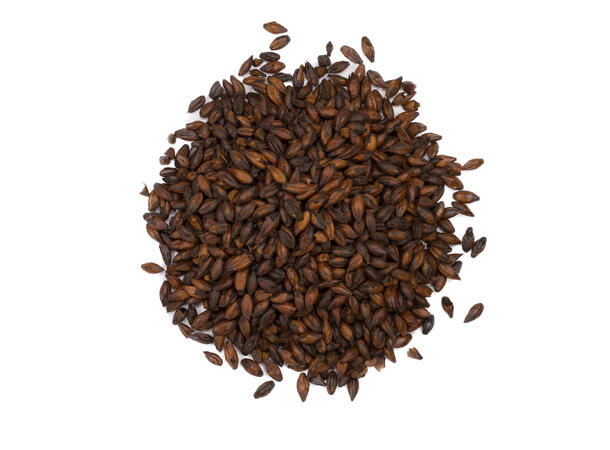 Chokladmalt för ölbryggning