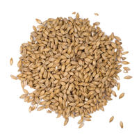 Château Cara Clair 1 kg krossad 5 EBC - Castle malting