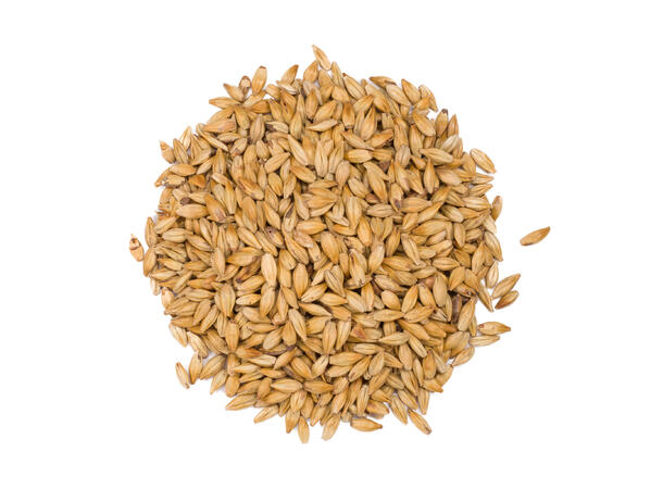 Château Melano Light 25 kg knust 40 EBC - Castle malting 