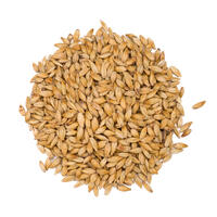 Château Melano Light 25 kg krossad 40 EBC - Castle malting
