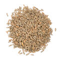 Rye Malt Pale 1 kg hel 7 EBC - Weyermann r&#229;gmalt