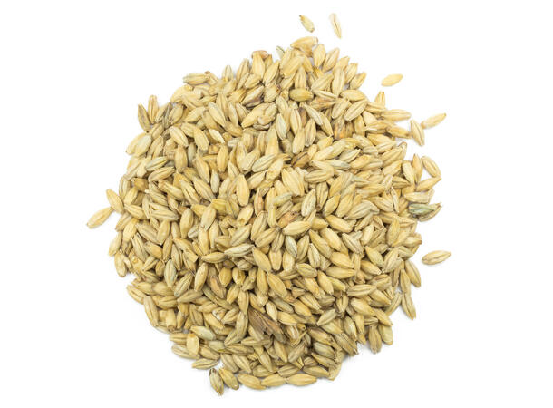 Carapils Malt 4 EBC - Weyermann 