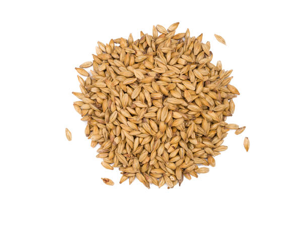Château Cara Ruby 1 kg hel 50 EBC - Castle malting 