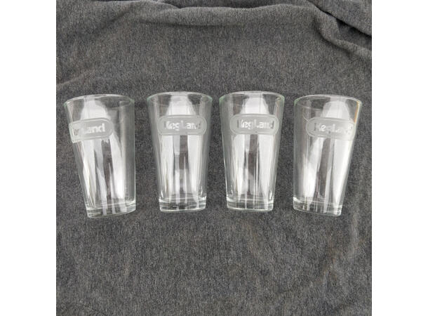 Beer Pint Glass, 4-pack