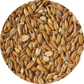 Flaked Torrefied Oats - 25 kg hel Crisp