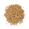 Pilsnermalt - 1 kg krossad 2,5 - 4,5 EBC - Weyermann