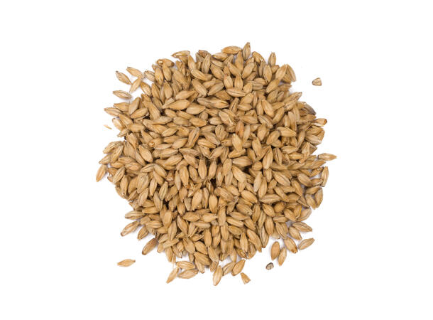 Weyermann Pilsner Malt