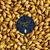Crystal T50™ - Simpsons Malt