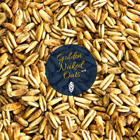 Golden Naked Oats - 1 kg hel Simpsons Malt - 12-25 EBC