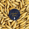 Malted Oats - 25 kg krossad Simpsons Malt - 2-4 EBC