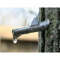 Savtapp för tappning av björksav Tapp med krok för flaska