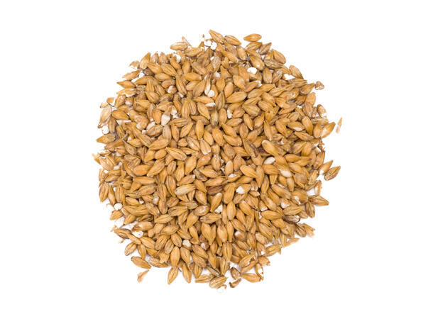 Château Acid malt