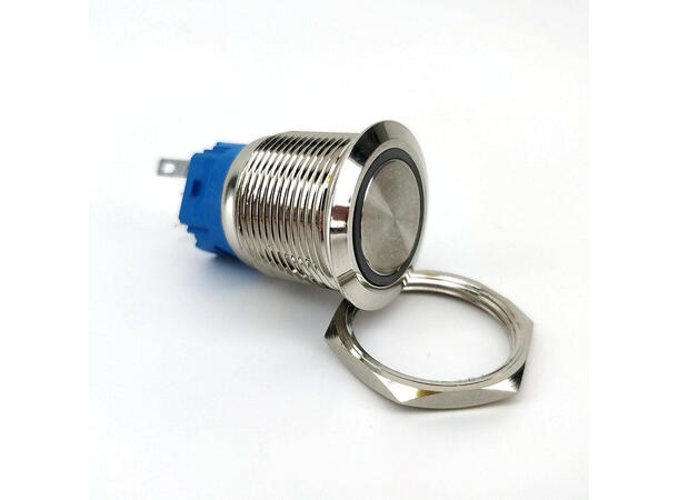 Cannular Momentan brytare