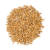 Château Acid 1 kg knust 6-12 EBC - Castle malting - løsvekt