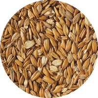 Flaked Torrefied Oats - 1 kg hel Crisp