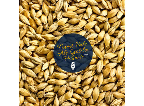 Golden Promise Pale Ale 1 kg hel