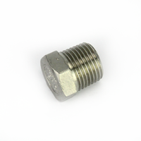 1/2" BSP sexkantig plugg rostfritt stål