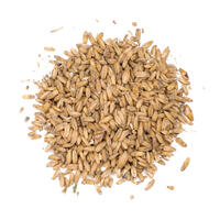 Oat Malt 1 kg krossad 3-6,5 EBC - Viking Malt