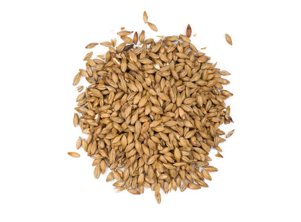 Pale Ale Malt Malt