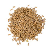 Vienna Malt 1 kg hel 7-10 EBC - Viking Malt