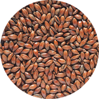 Low Colour Chocolate Malt 1 kg hel Crisp Malting - 450 - 650 EBC