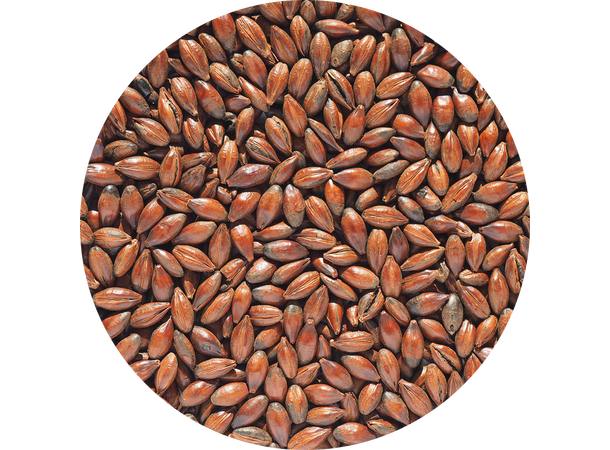 Low Colour Chocolate Malt 1 kg hel KUN SE 