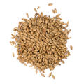 Munich Light 1 kg hel 14 - 18 EBC - Viking Malt