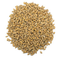 Vetemalt 1 kg krossad 3-5,5 EBC - Viking Malt