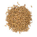 Viking Pale Malt 1 kg krossad 4 - 7 EBC - Viking Malt