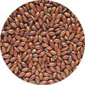 Low Colour Chocolate Malt 1 kg krossad Crisp Malting - 450 - 650 EBC