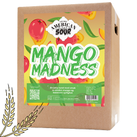 Mango Madness allgrain ølsett American Sour med mango