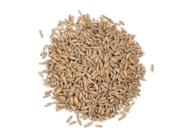 Pale Rye