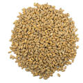 Vetemalt 25 kg krossad 3-5,5 EBC - Viking Malt