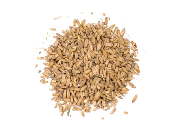 Château Oat Malt