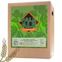 Pale Ale allgrain ölkit Vårt bästa recept!