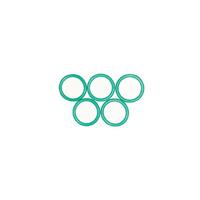 O-ring, Viton, 18x14x2 mm, 5-pack Brewtools