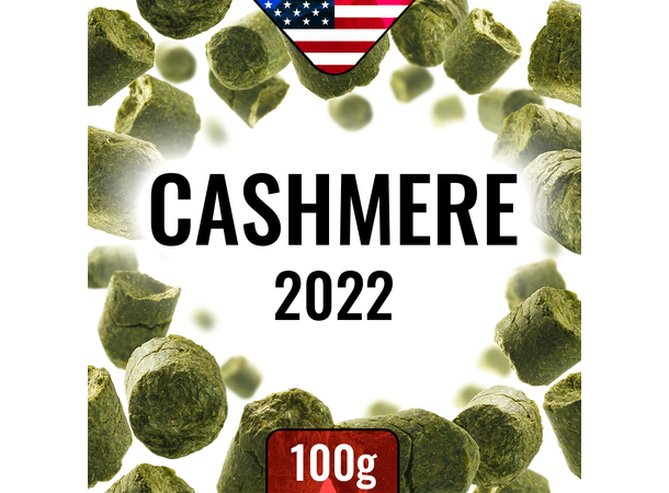 Cashmere 2022 100 g