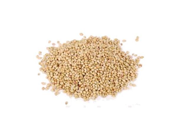 Korianderfrø 100 g