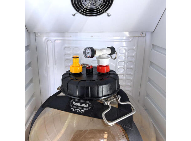 Ball Lock Disconnect Spund Valve - G2